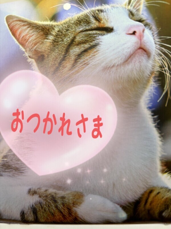 こんにちは