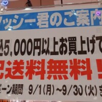 月影まりえ