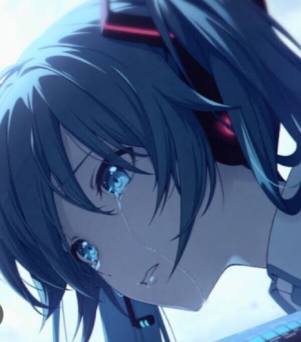 しくしく😢