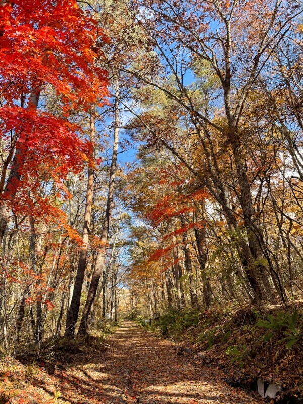 おはようございます