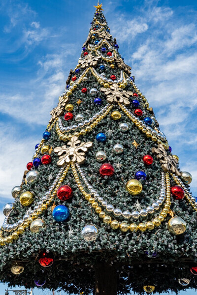 一足速いクリスマス?