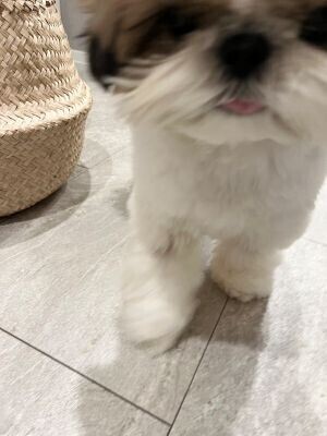 久しぶりの地震