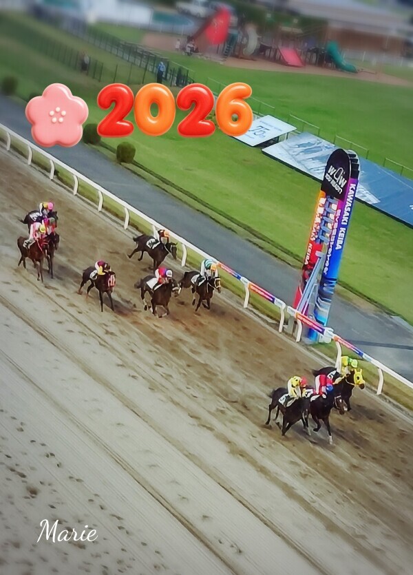 ☆明けましておめでとうございます