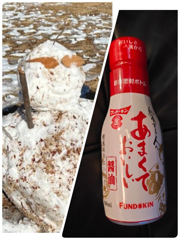 今日もなかなか冷えますね