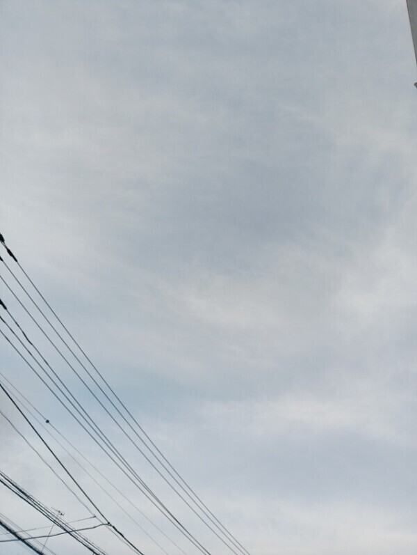 ありがとうございます