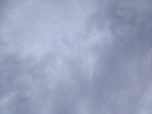 おはようございます