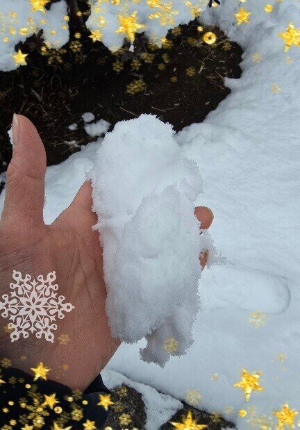 おはようございます