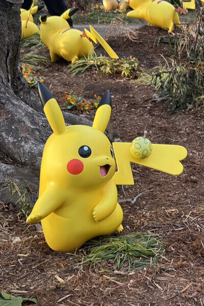 ポケモンの世代