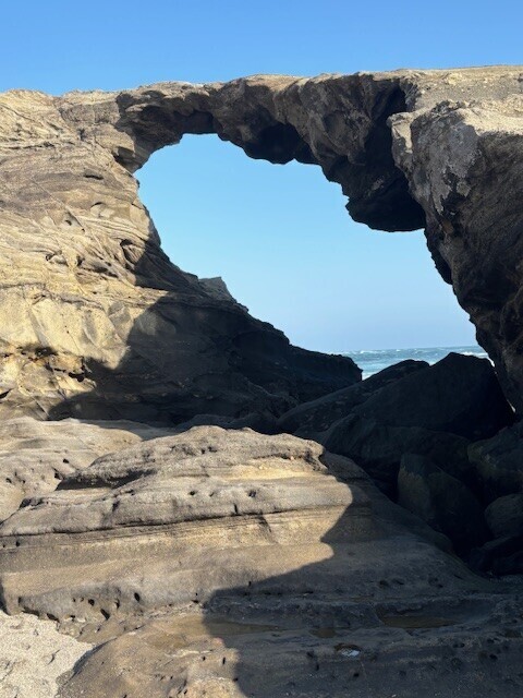 お久しぶりです