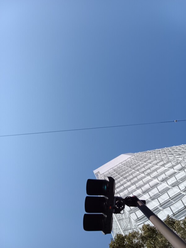 お礼は後程ゆっくりと