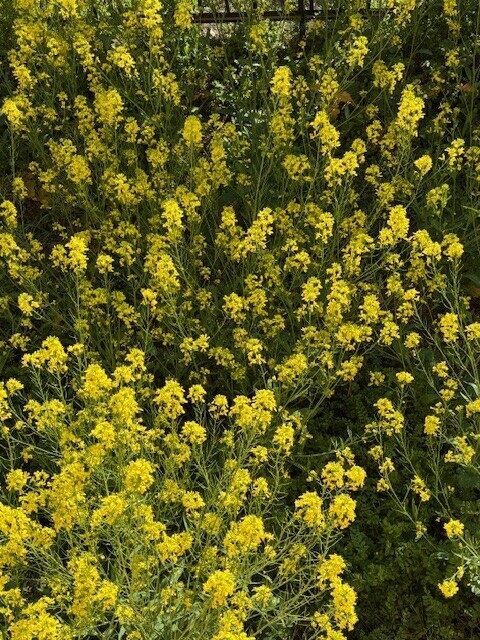 ありがとうございます