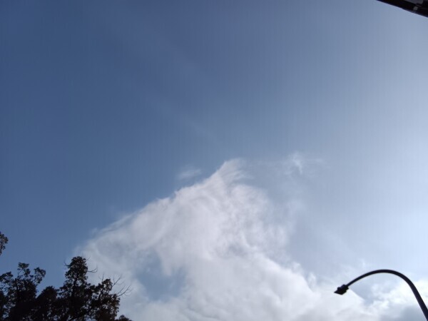 お花見日和ですね