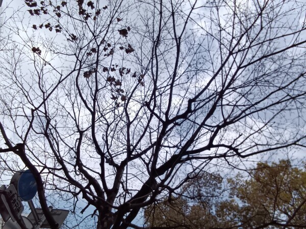 おはようございます