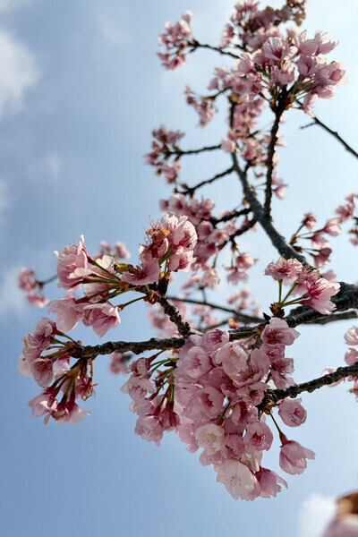 今日は4月1日、