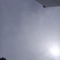 遠山 ちか