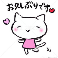 友坂みさき
