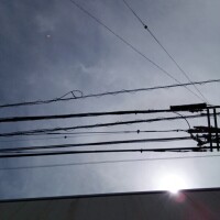 遠山 ちか