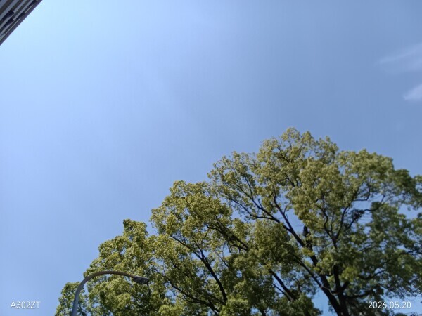 今日も暑い🫠