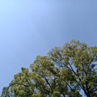 遠山 ちか
