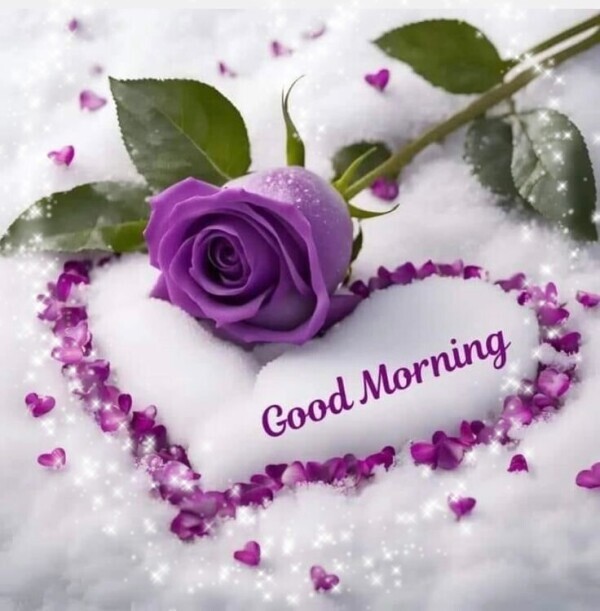 good　morning