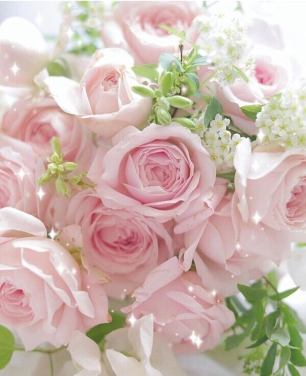 good　morning