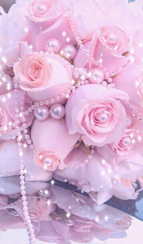 完熟ばなな横浜すみれ