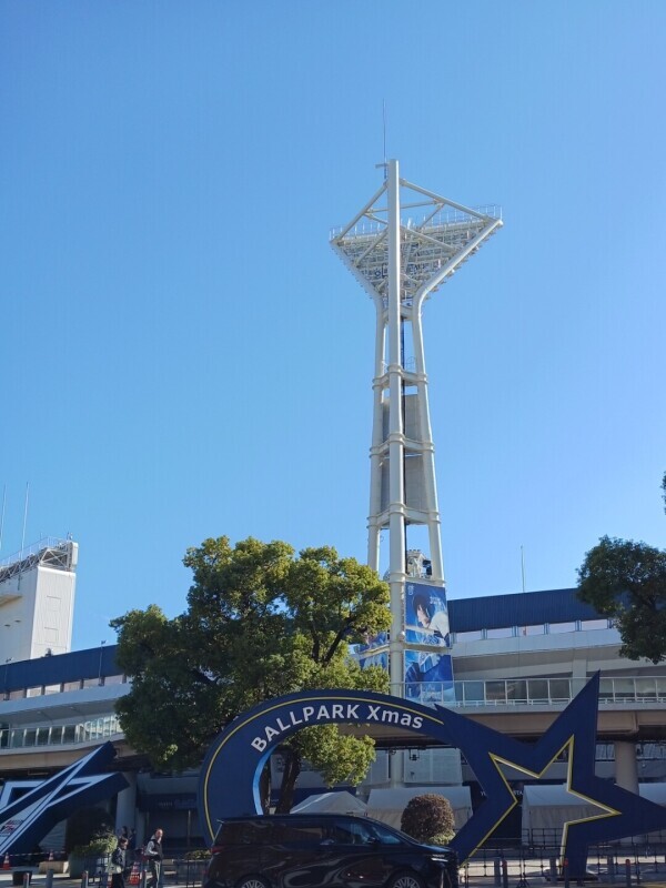 完熟ばなな横浜すみれ