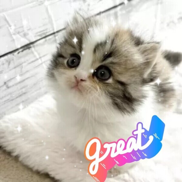 12月も宜しくお願いします