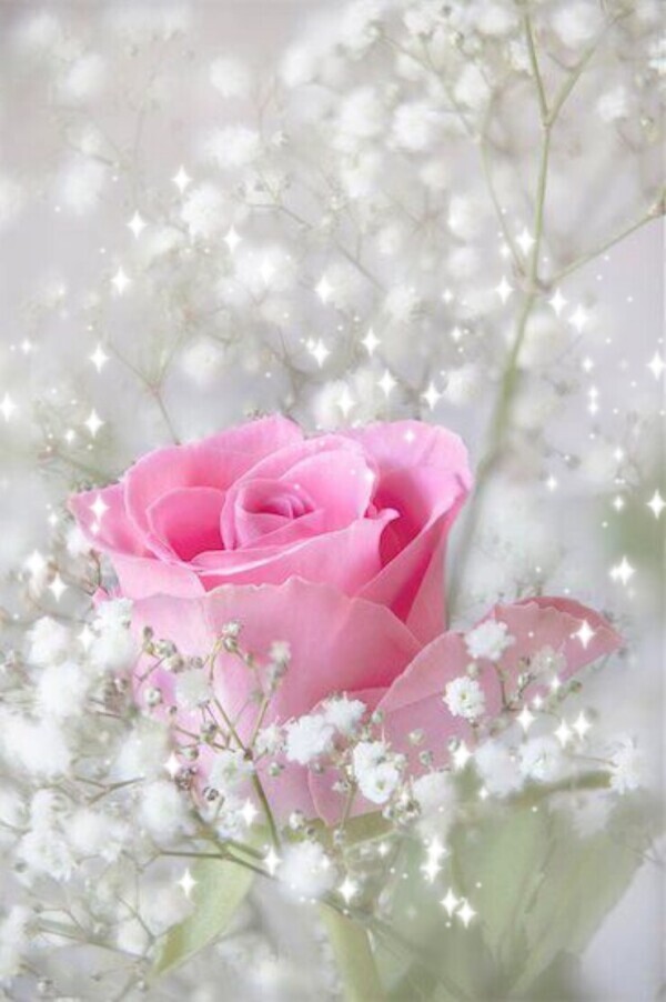 日曜日はレア出勤になります