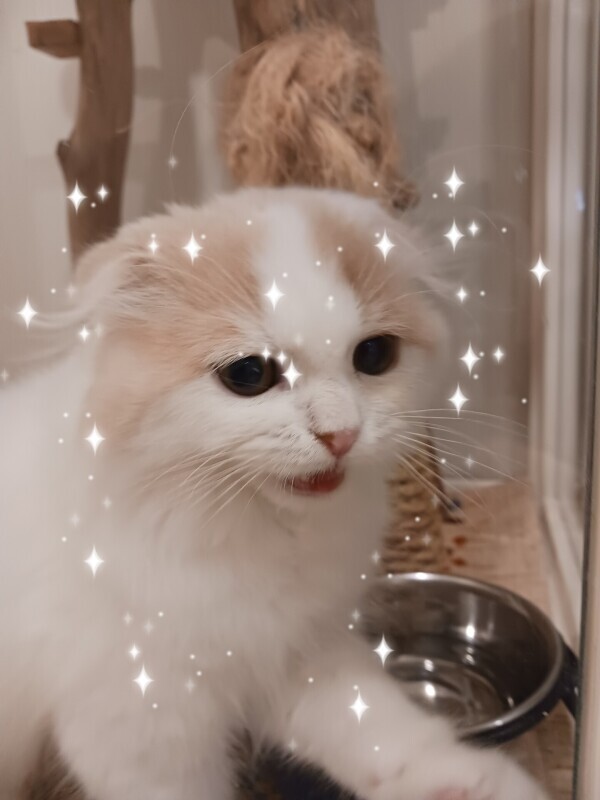 本日出勤します