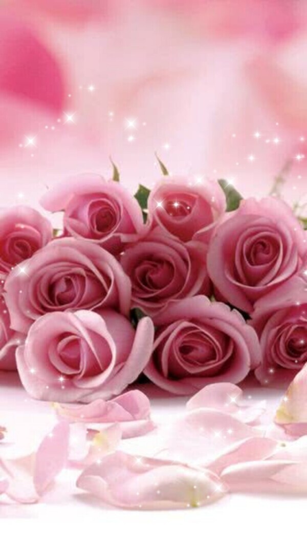 宜しくお願いします