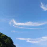 ふうか