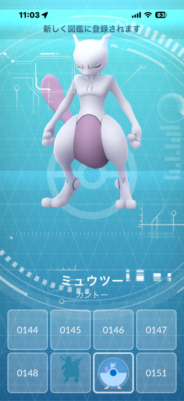 今年の夏は……