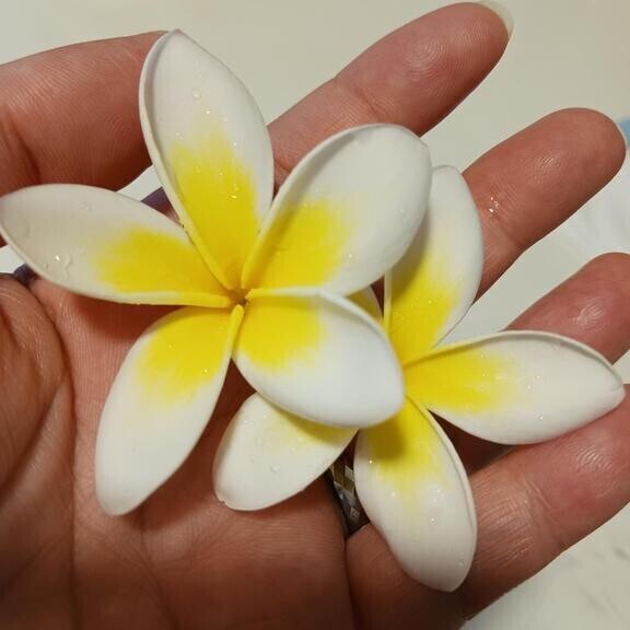 待機中♡