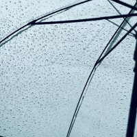 みどり