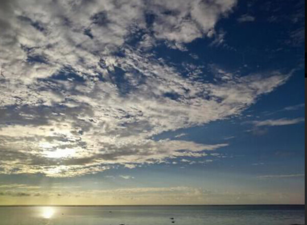 のちほど楽しみにしていますね(*´꒳`*)