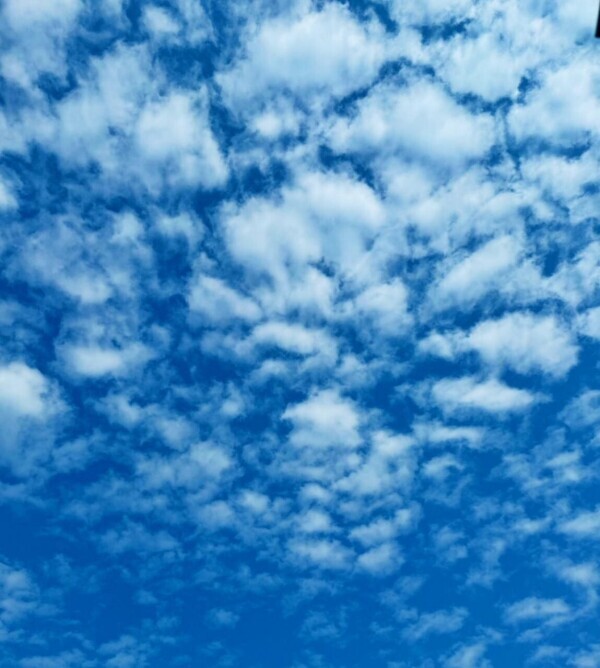 おはようございます^ ^