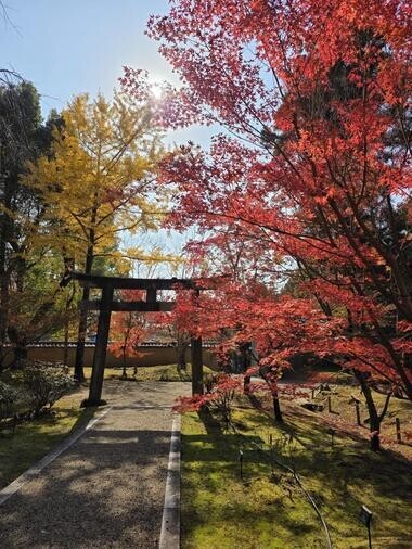 20251121_193510_3247af68f6b5cedd7dbad80b