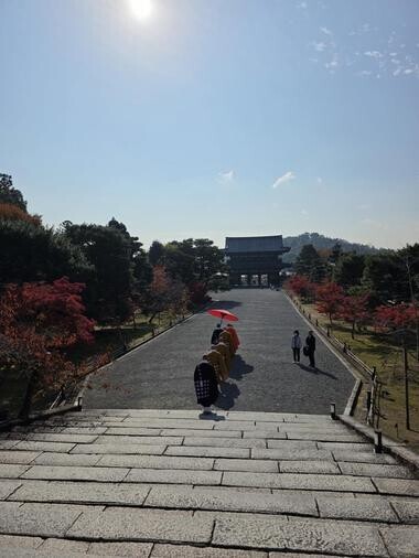 20251121_193510_098b2a393e41af1f629aa52f