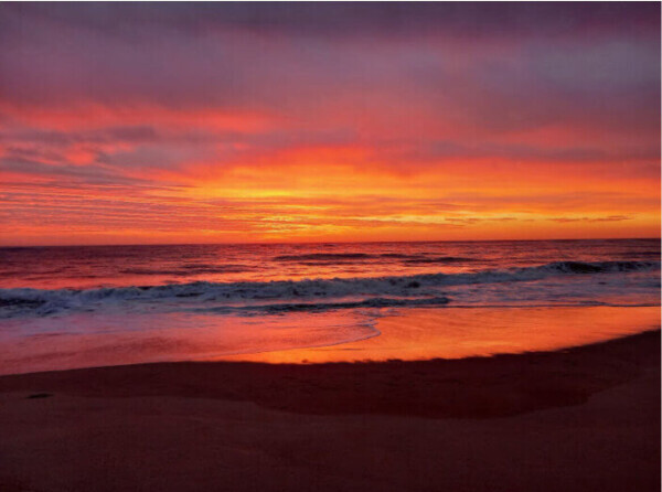 おはようございます^ ^