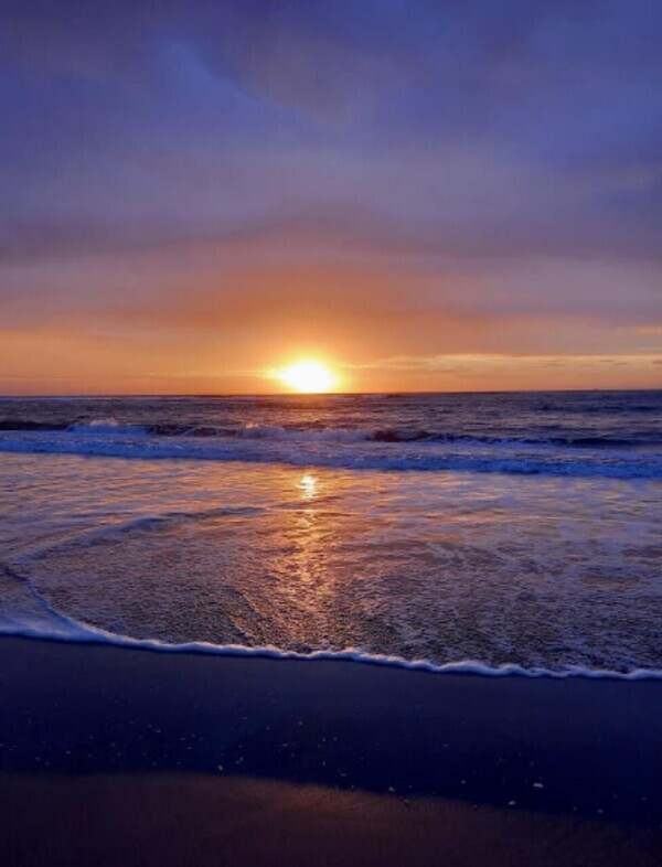 おはようございます^ ^