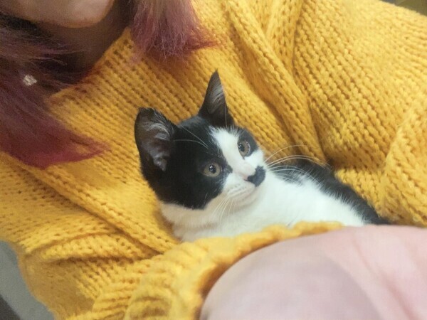 ただいま帰ったなり٩( ⸝⸝´꒳`⸝⸝) 人( ⸝⸝´꒳`⸝⸝)و