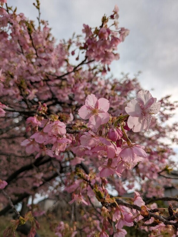 おはようございます^_^