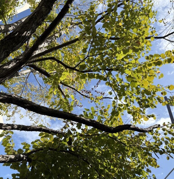 おはようございます^ ^