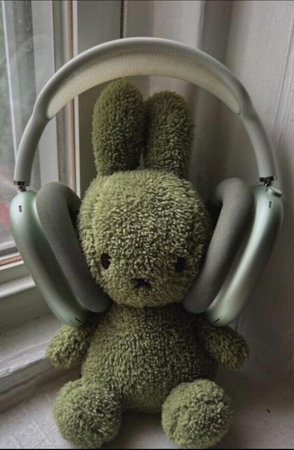 ⭐︎★本日の空き状況★⭐︎