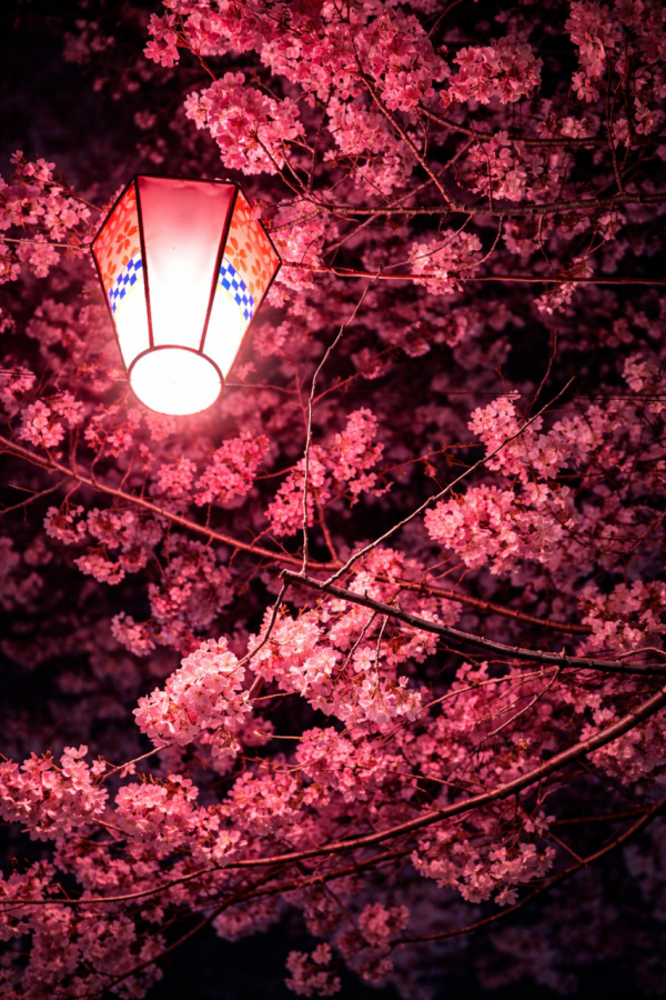 ✿人妻の深夜のひと時✿