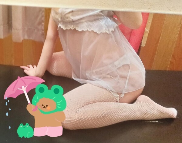 3月末の予定です✿