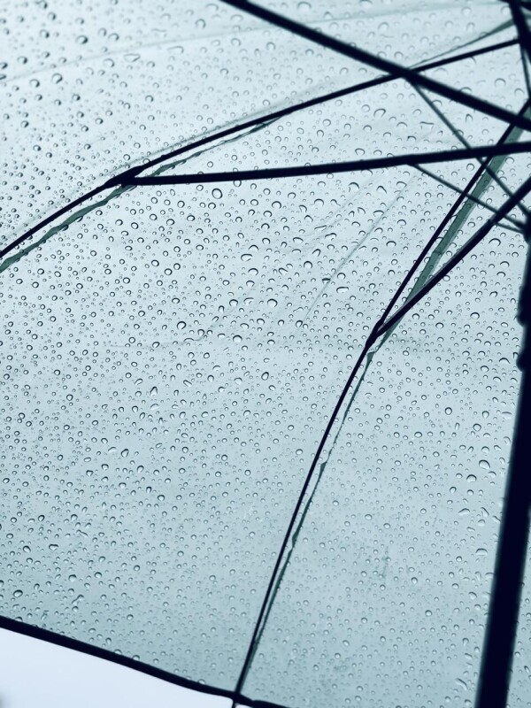 雨の月曜日、頑張りましょう！