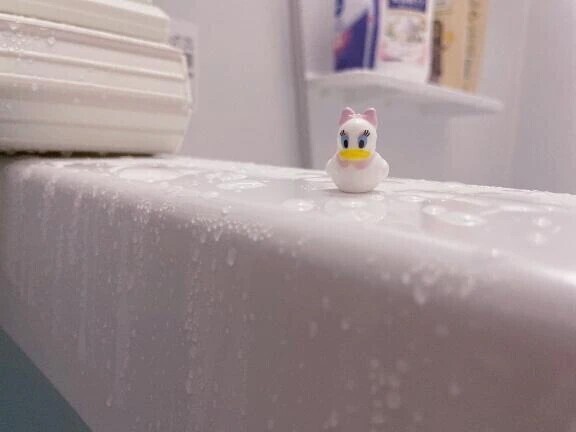 にゃんということでしょう！！