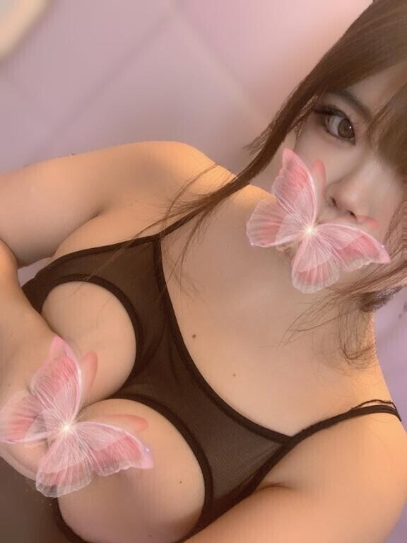 🐱夜も､､
